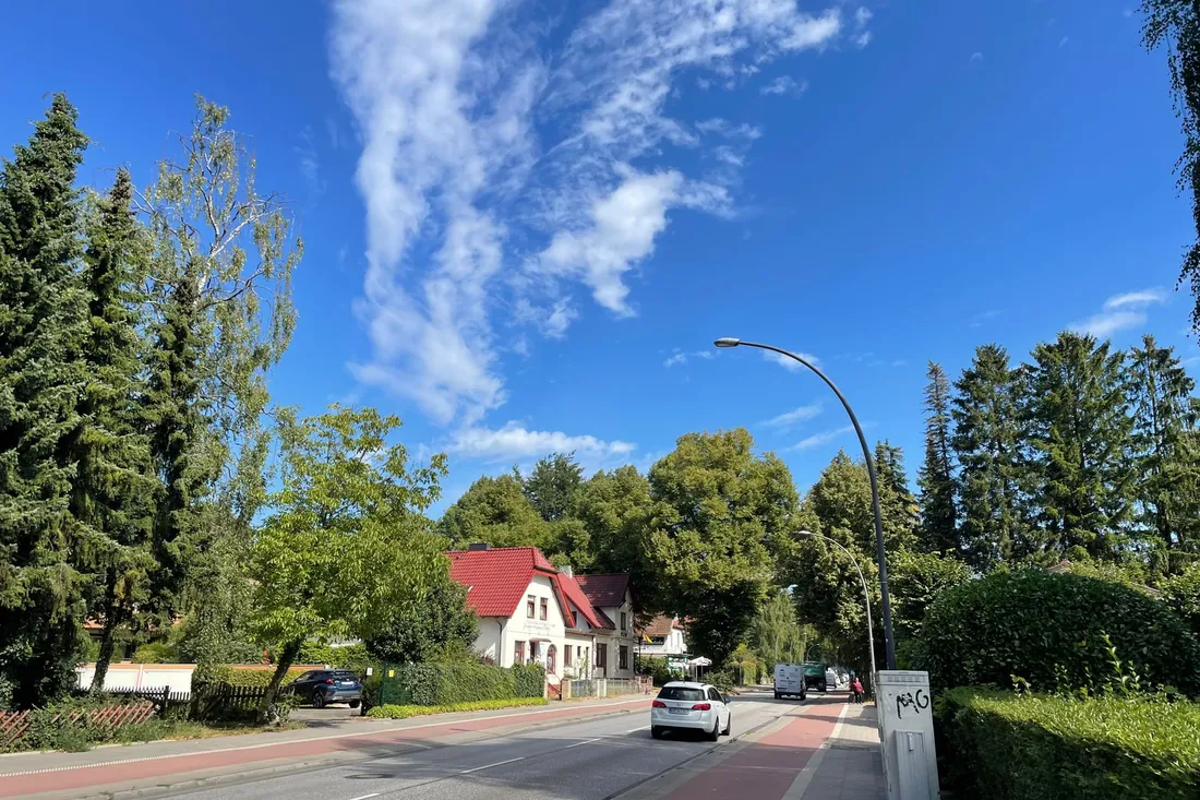 Ortsdurchfahrt mit rot markiertem Radstreifen, hohen Fichten und einem rotgedeckten Haus