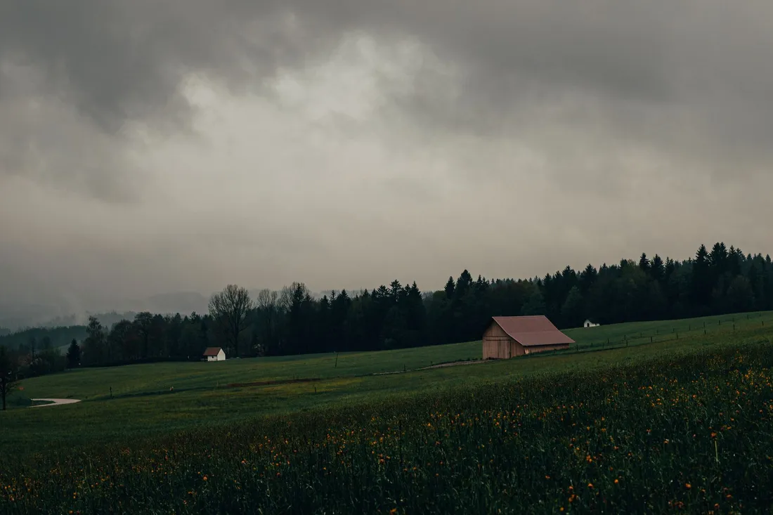 Flache Wiese mit Holzstadel und Waldrand unter dichter Wolkendecke