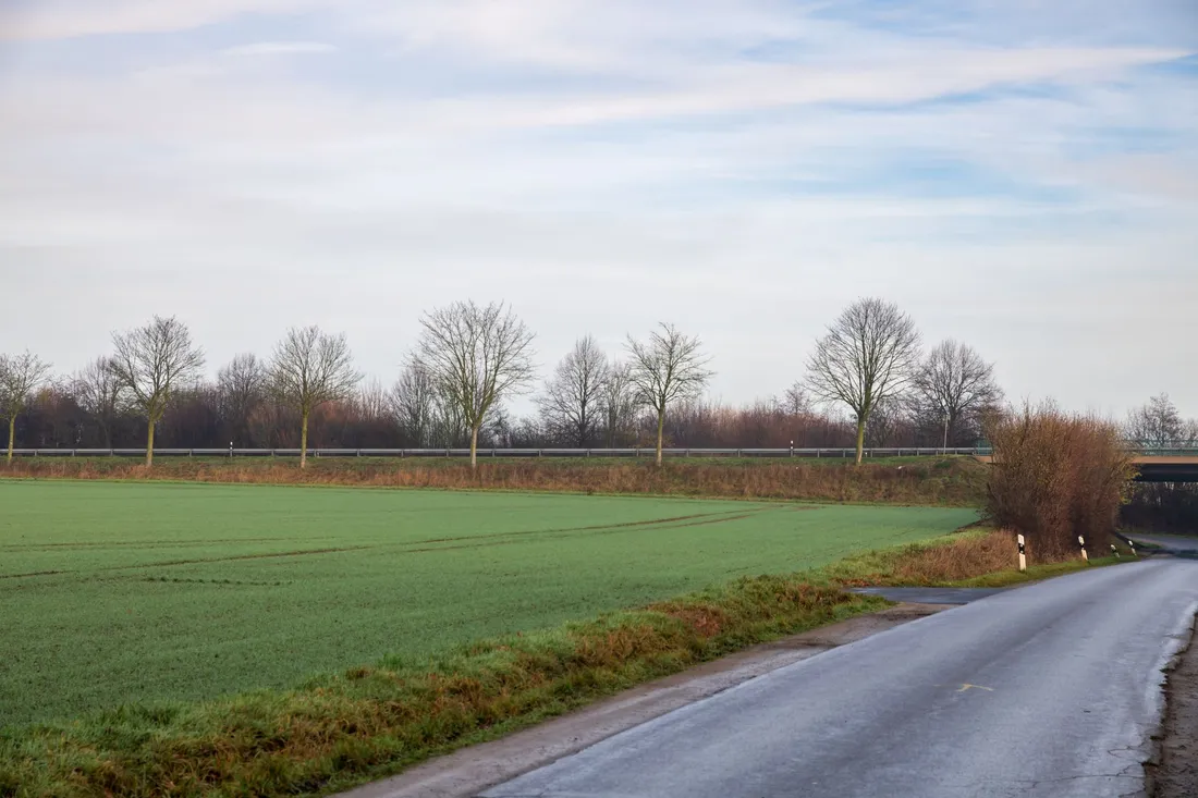 Leitplanke eines Autobahndamms über dem Winterfeld, davor eine schmale Straße